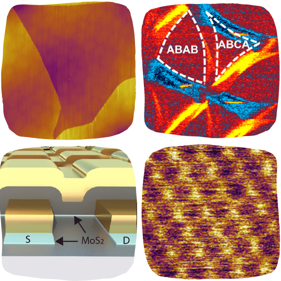 Applications Of Atomic Force Microscopy In Virology Research - Oxford ...